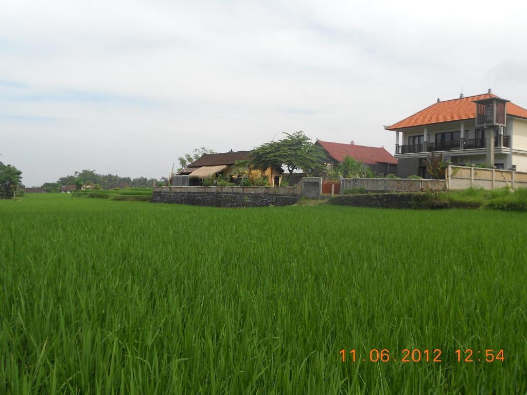 Villa Jasmine B&B Ubud (Bali) Bagian luar foto