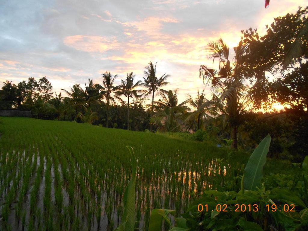 Villa Jasmine B&B Ubud (Bali) Ruang foto