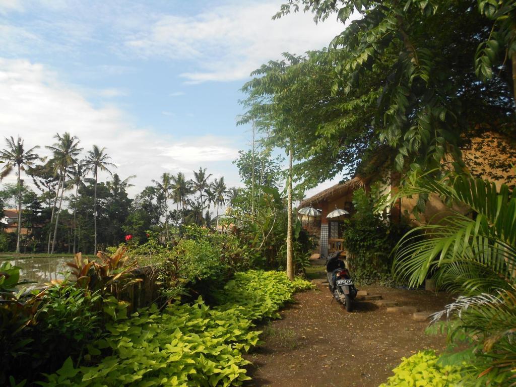 Villa Jasmine B&B Ubud (Bali) Bagian luar foto